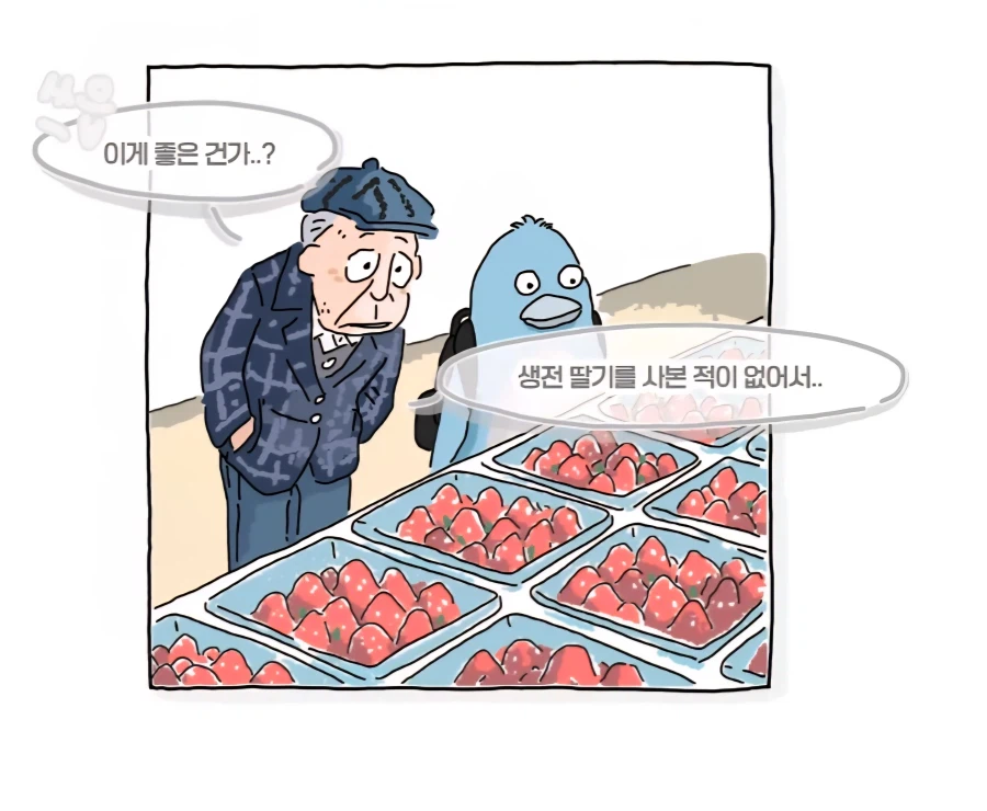 딸기 처음 사 보는 할아버지_3.webp