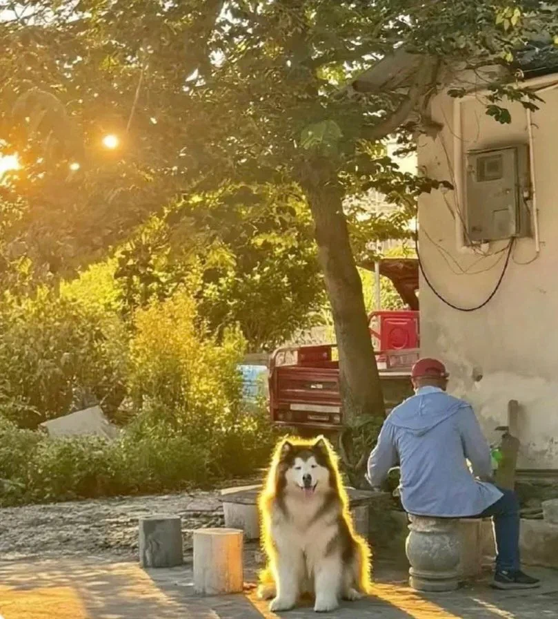 레딧서 핫한 사진 한장...jpg_1.webp