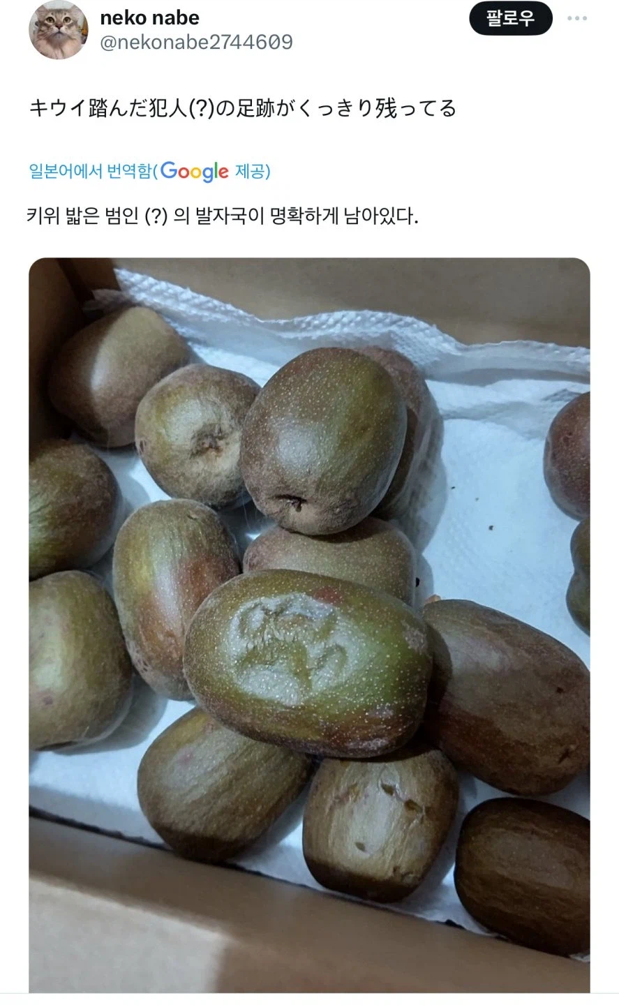 범인이 남긴 발자국 jpg._1.webp