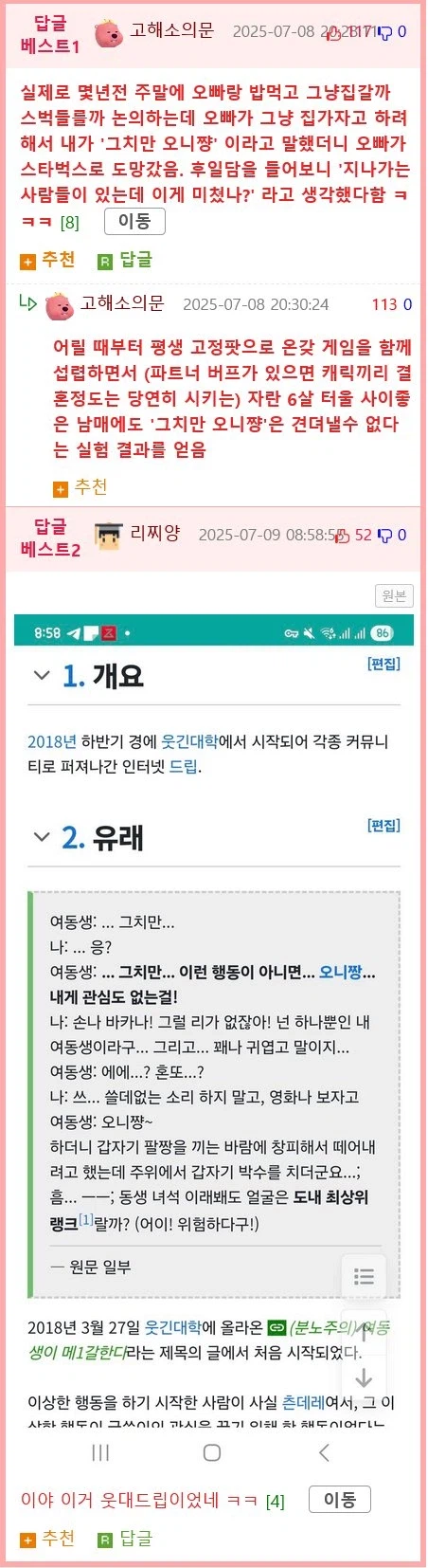 남매 싸움 필승법 jpg._2.webp