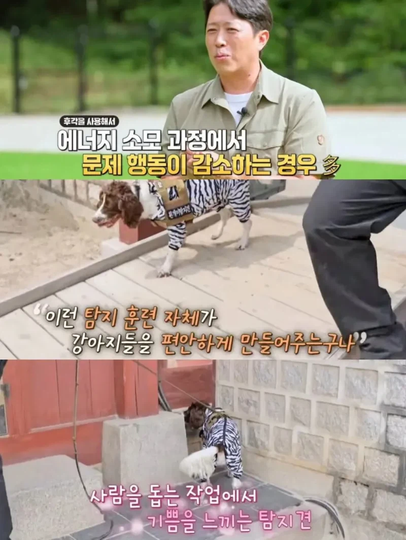 강아지 출입금지인 경복궁에 강아지 데려온 사람._11.webp