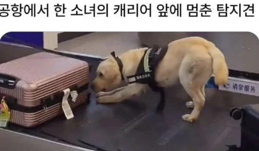 공항 비리 공무원_1.webp