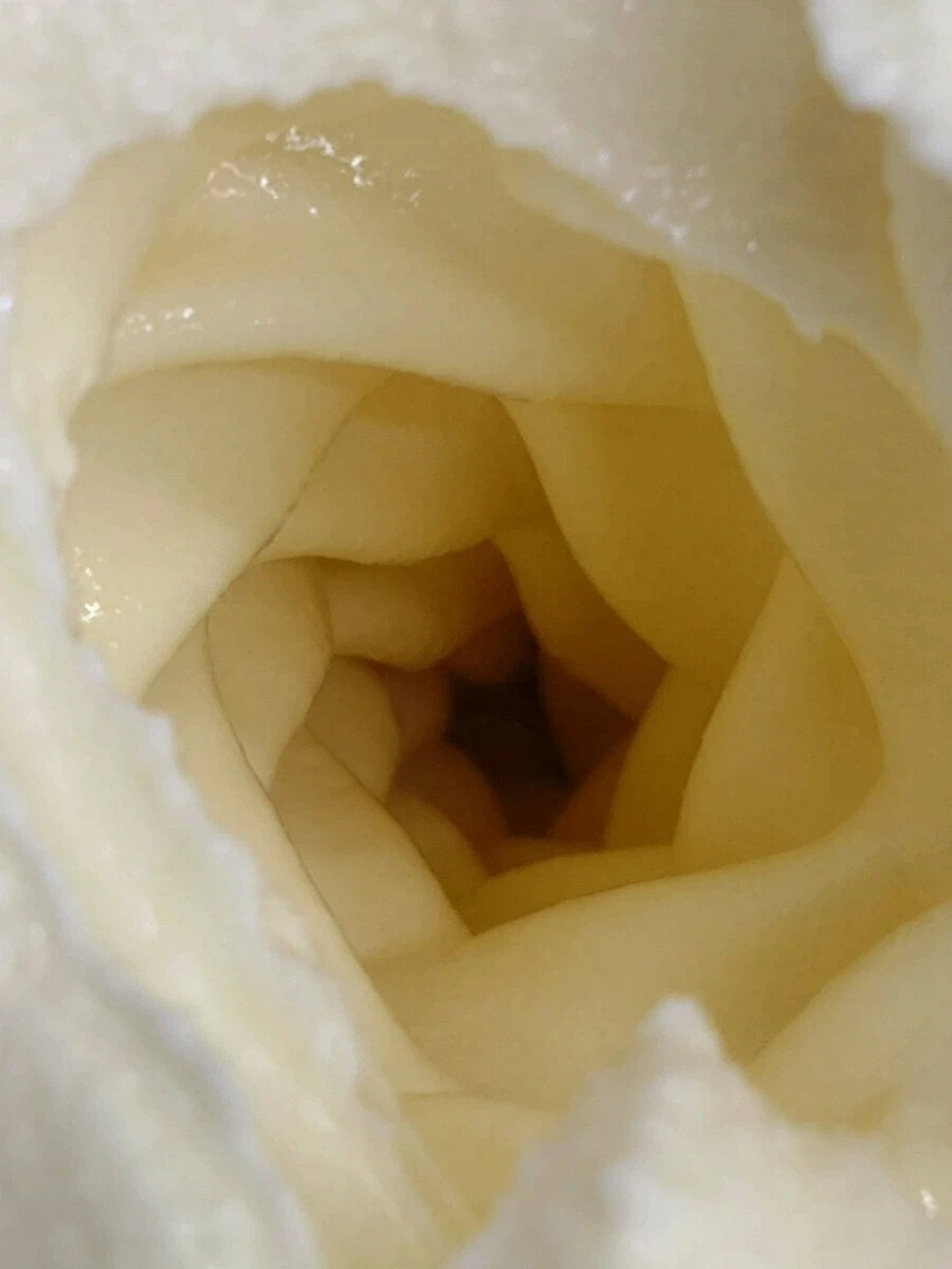 소프트 아이스크림 내부사진_1.webp