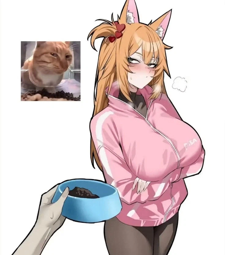 이게 고냥이임...jpg_1.webp