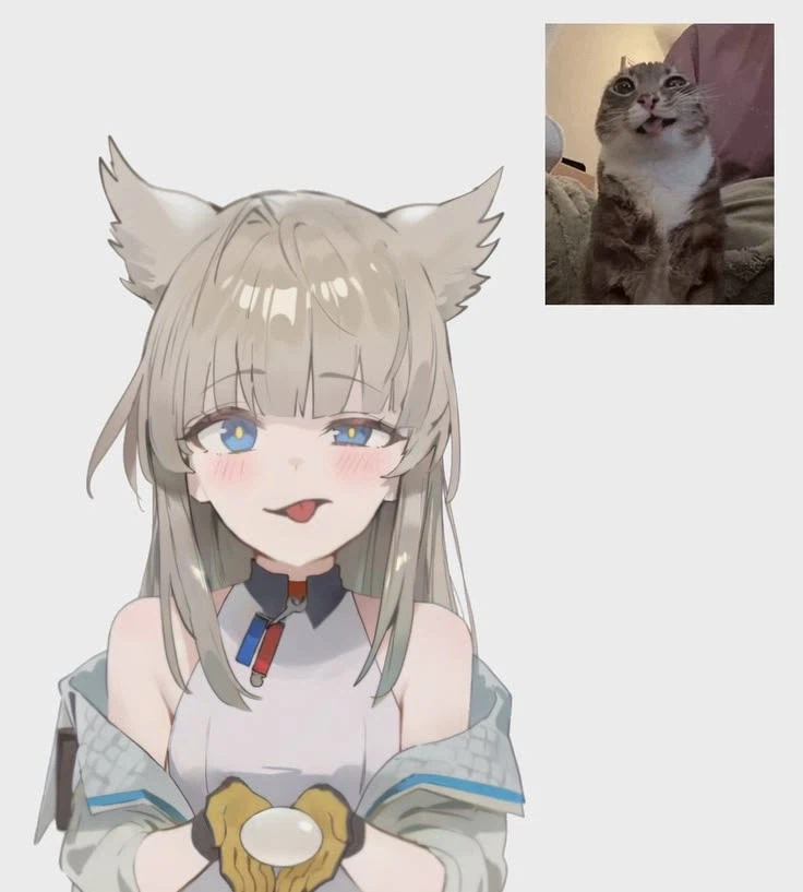 이게 고냥이임...jpg_2.webp