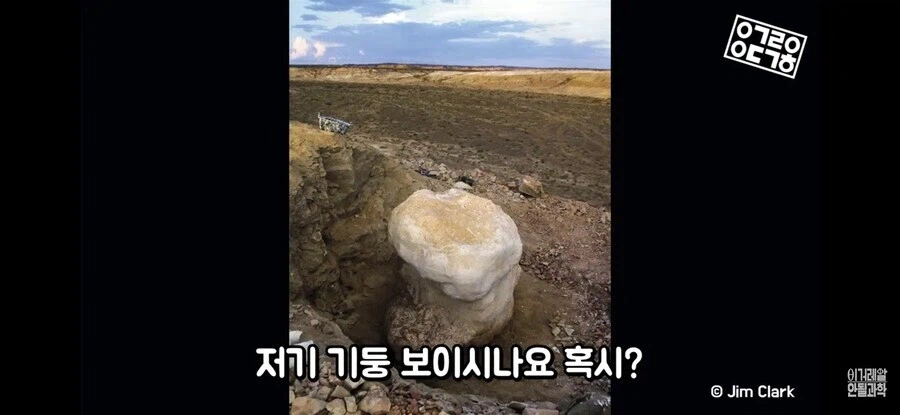 공룡) 걸어다니는 자연재해였던 용각류_1.webp