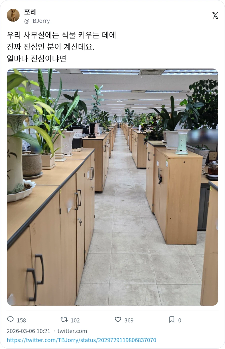사무실에 식물 키우는 데에 진심인 분이 계신다_1.webp