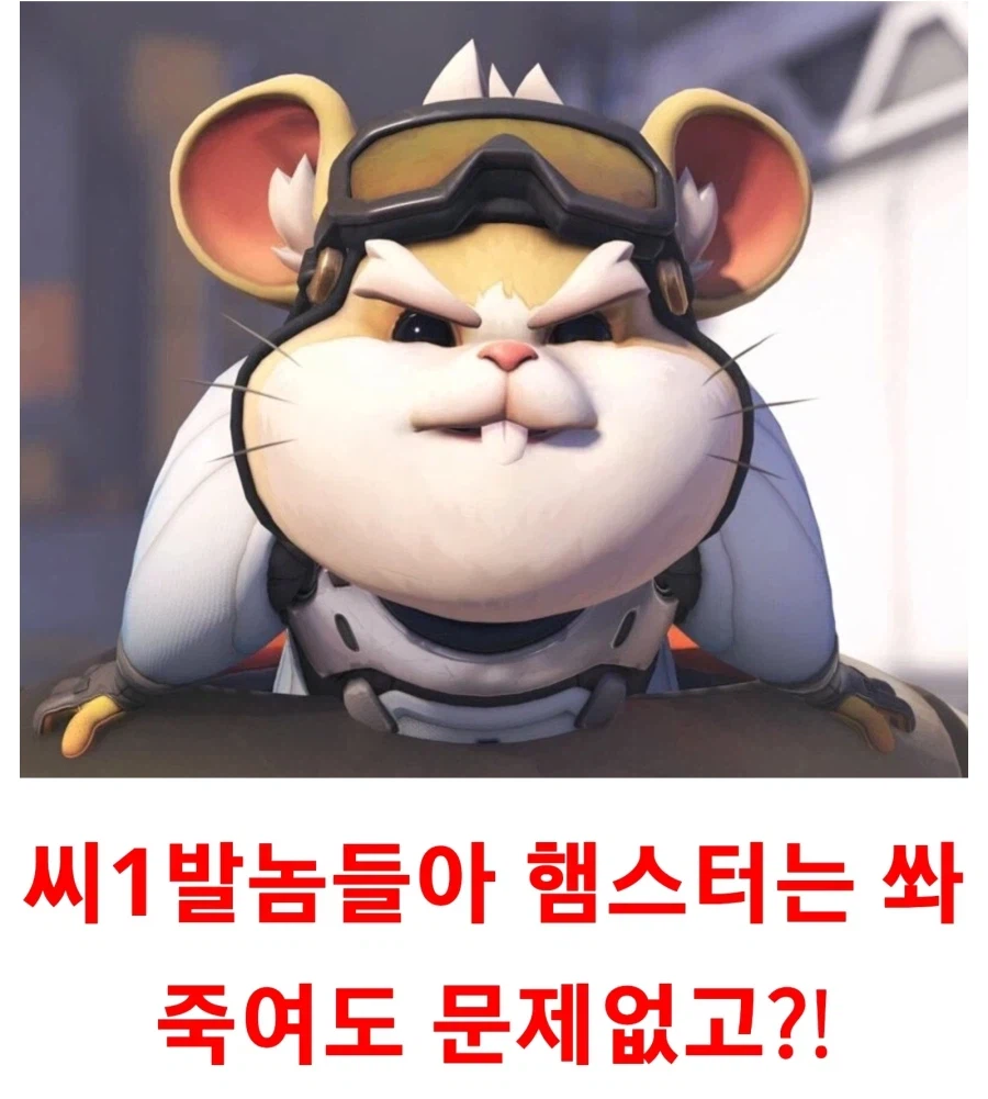 햄스터를 쏴죽여야 하는 이유_1.webp