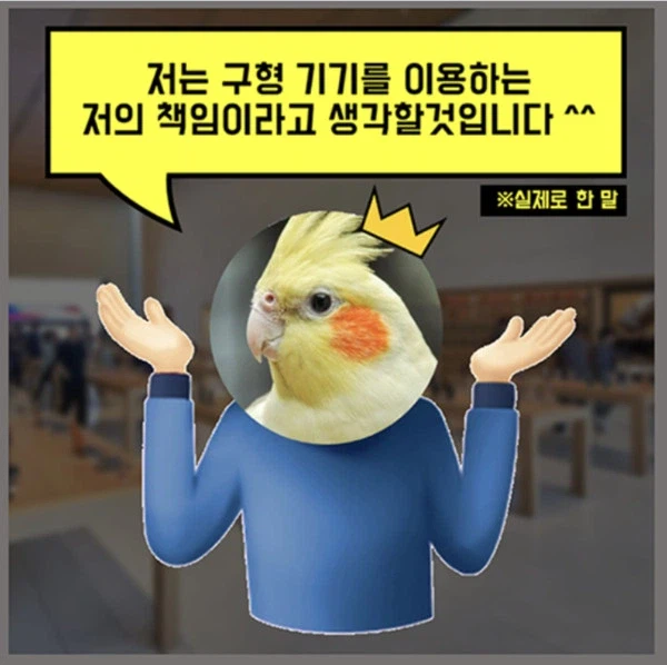 애플 구형맥북 응대사건은 진짜 레전드긴하지_1.webp