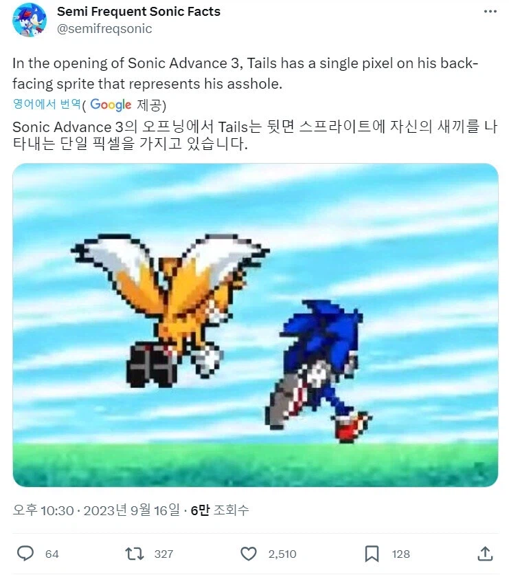 소닉 게임의 수상한 1픽셀.jpg_1.webp