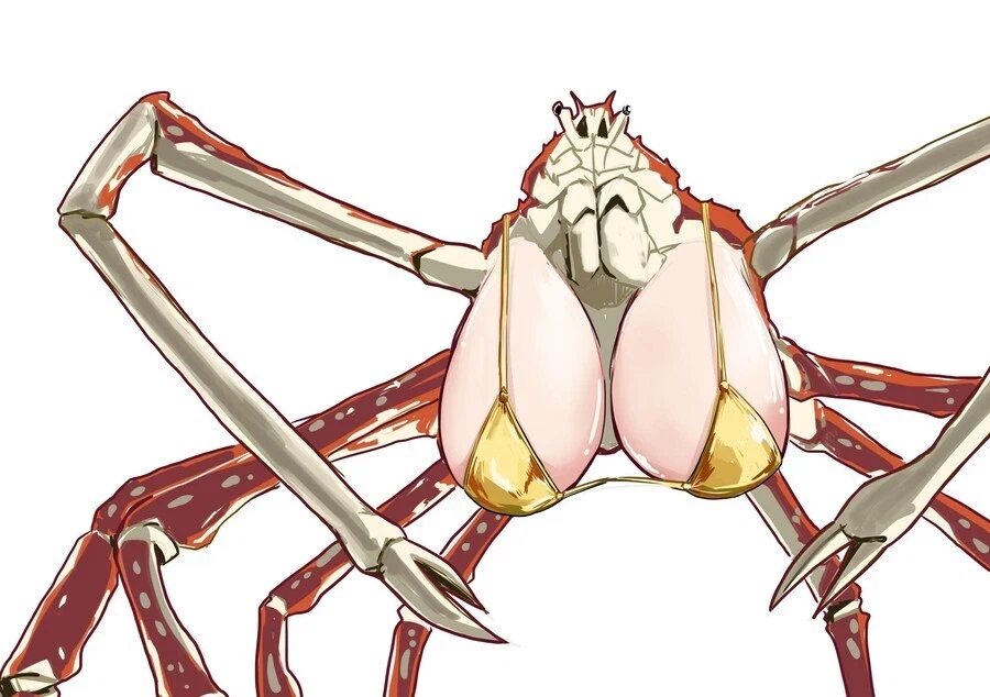 저탱이 달린 거미게_1.webp