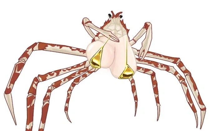 저탱이 달린 거미게_2.webp