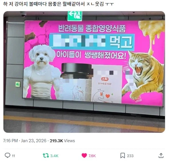 반려동물 영양 식품 먹고 아이들이 쌩쌩해졌어요.jpg_1.webp