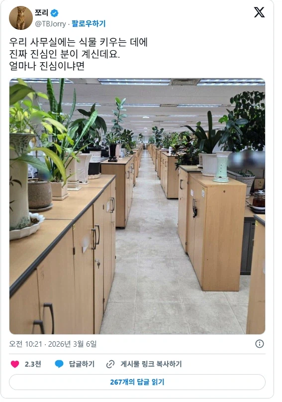 회사에 식물 키우는데 진심인 사람이 있다.jpg_1.webp