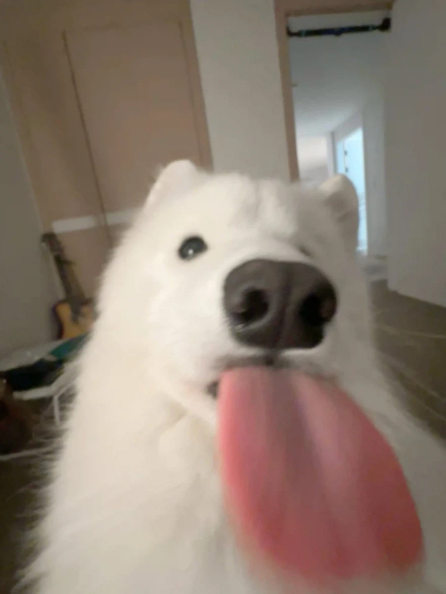 카메라 할짝~_2.webp