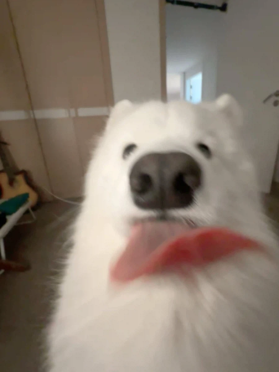 카메라 할짝~_3.webp