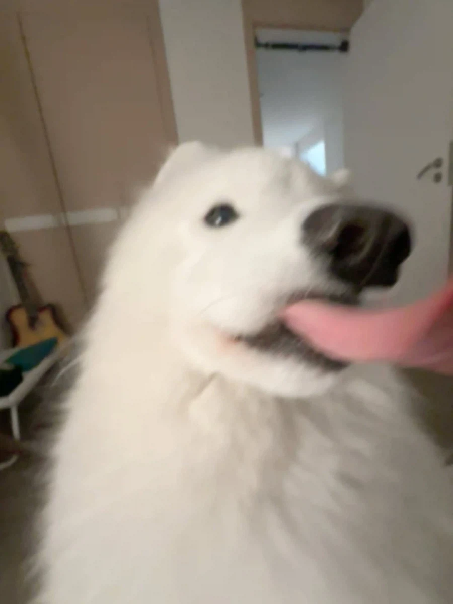 카메라 할짝~_4.webp