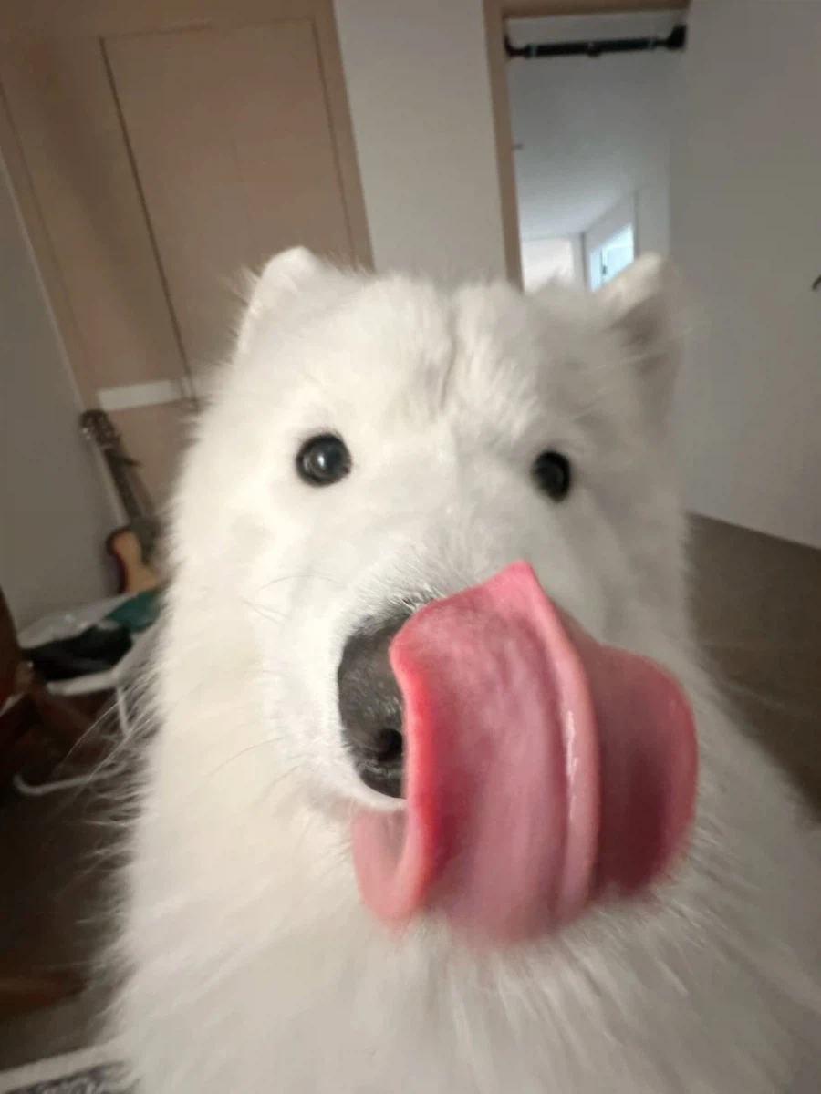 카메라 할짝~_5.webp