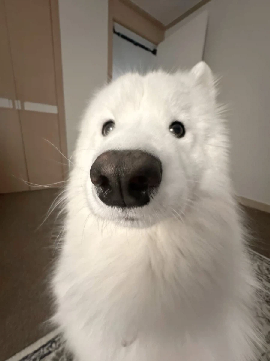 카메라 할짝~_7.webp