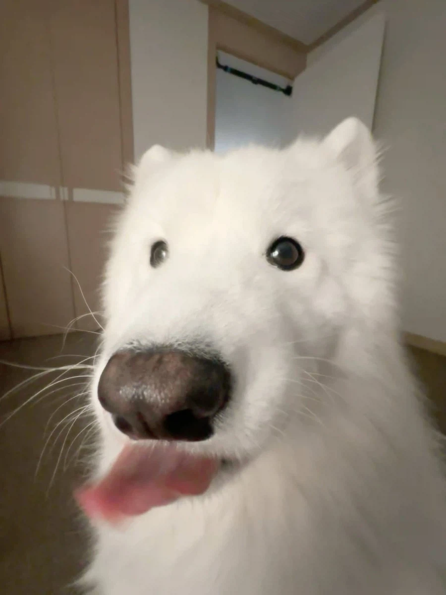 카메라 할짝~_10.webp