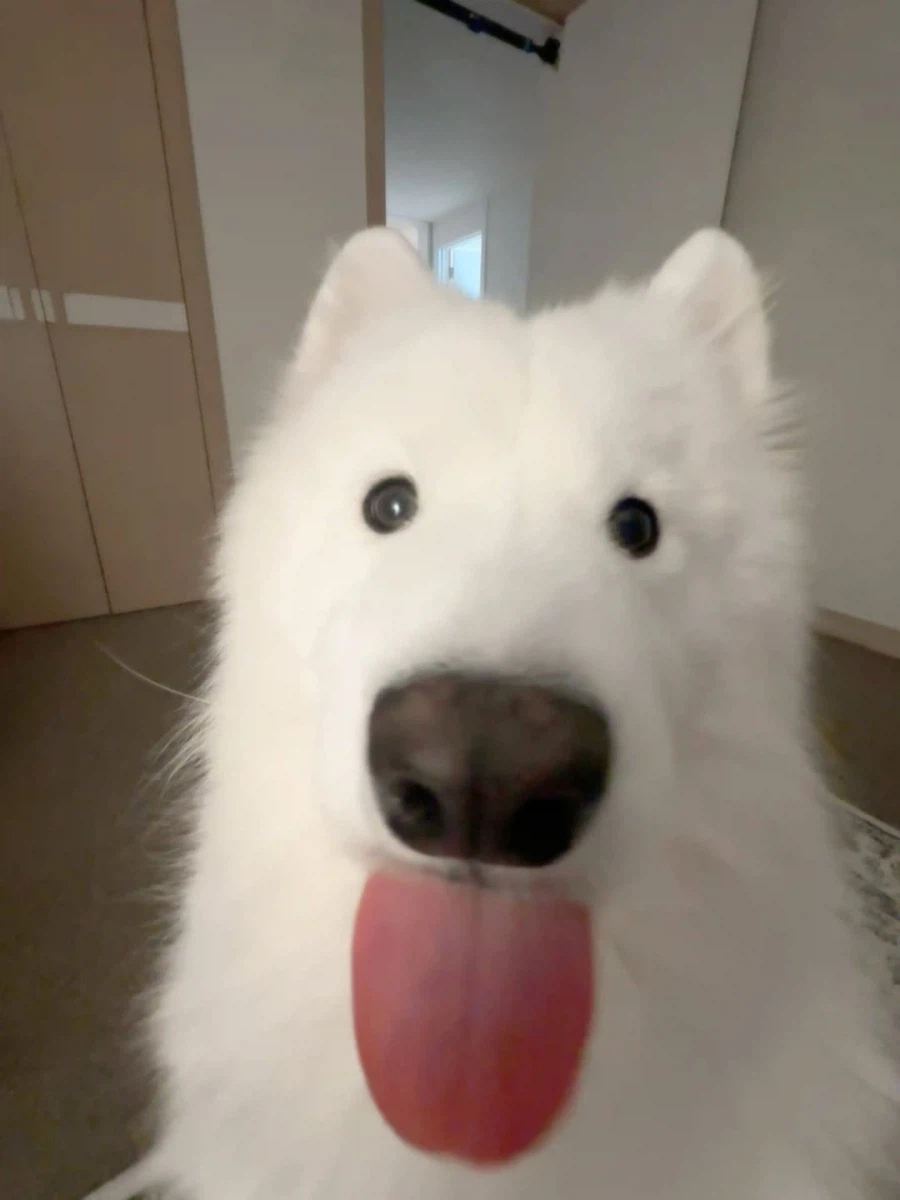 카메라 할짝~_13.webp