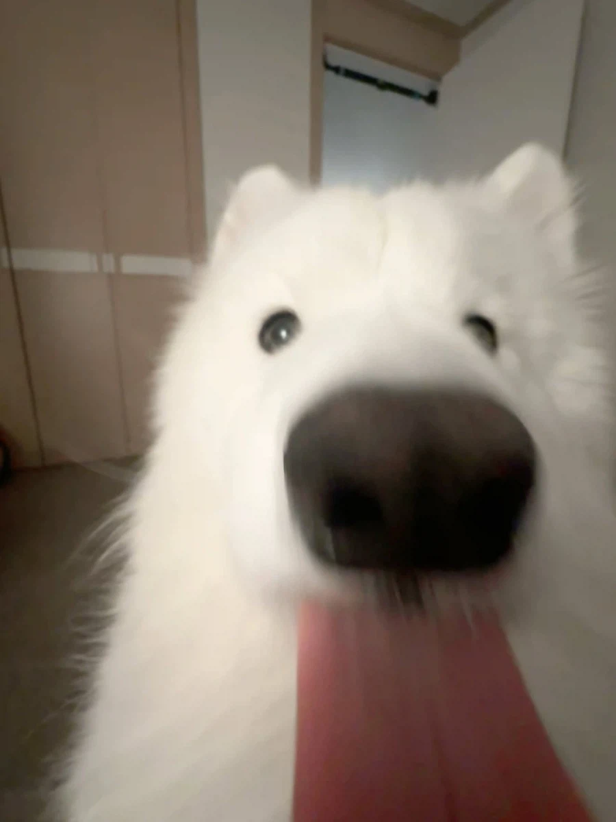 카메라 할짝~_14.webp