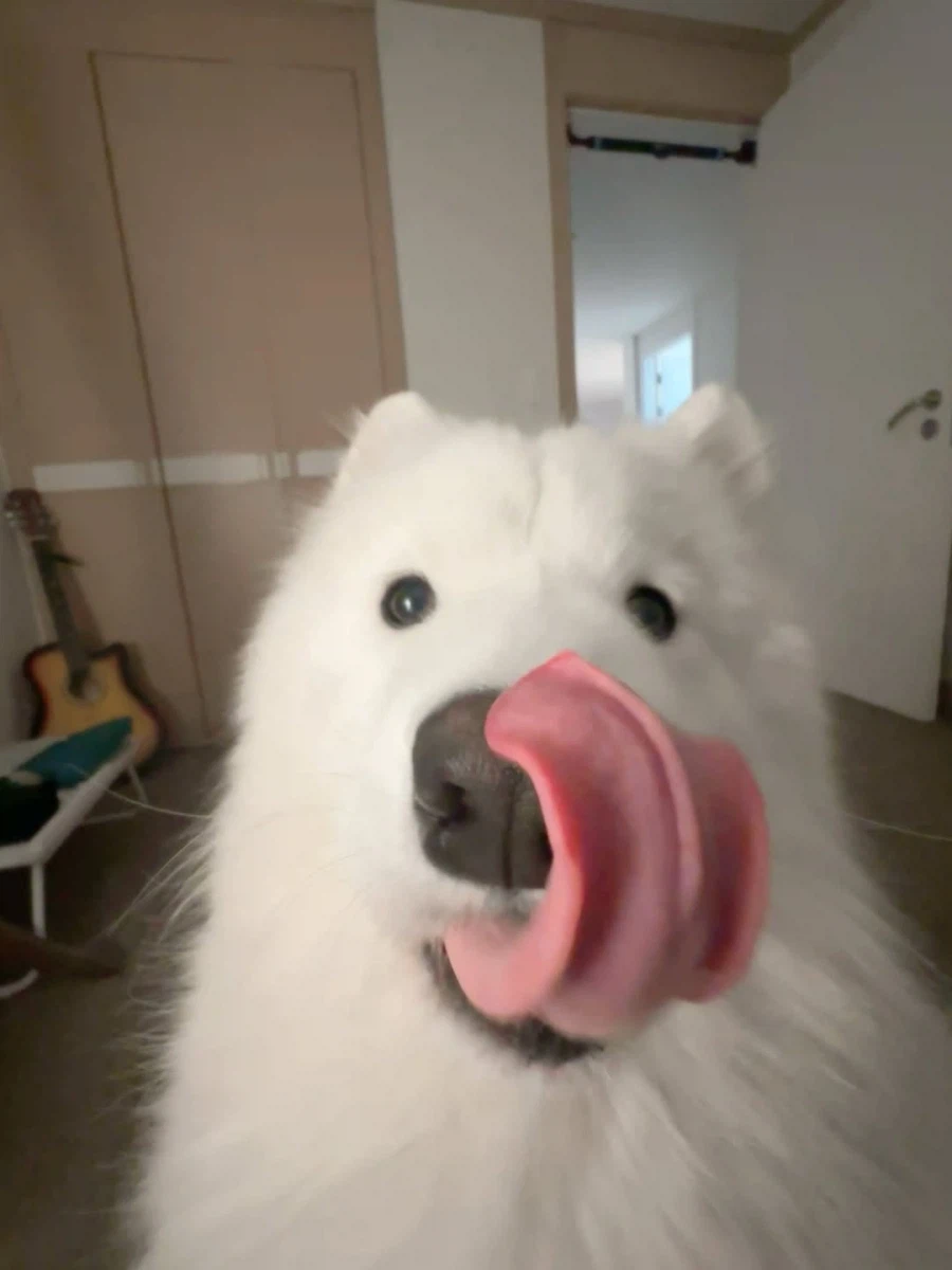 카메라 할짝~_15.webp