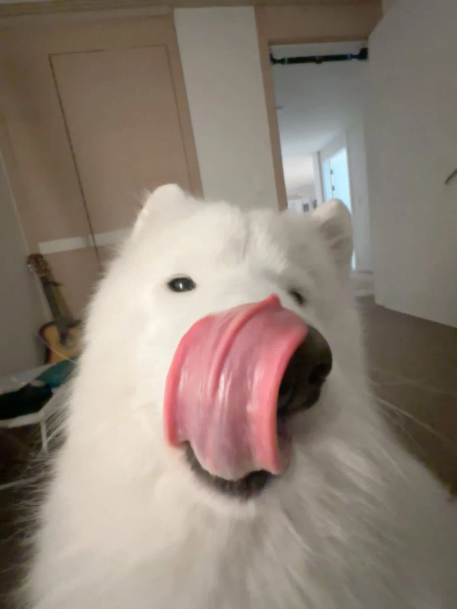 카메라 할짝~_17.webp