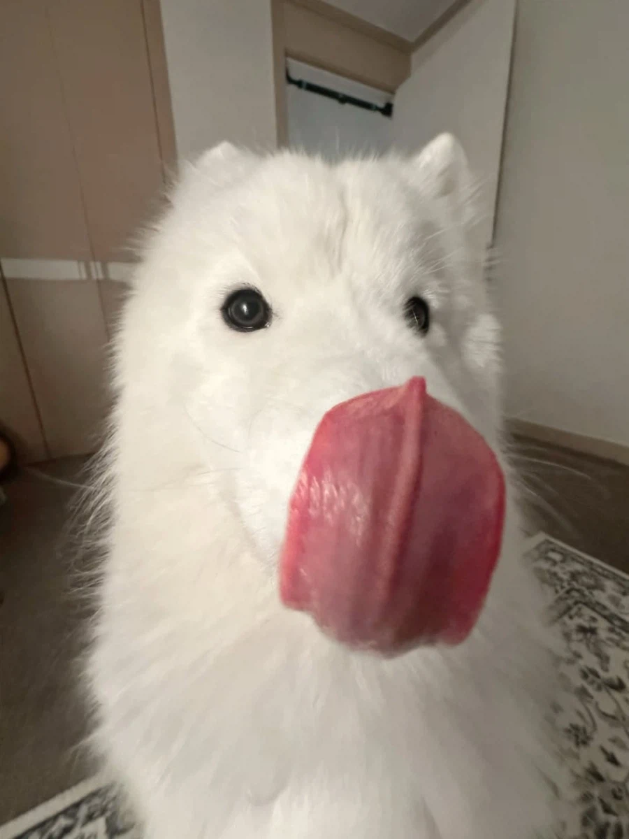 카메라 할짝~_18.webp