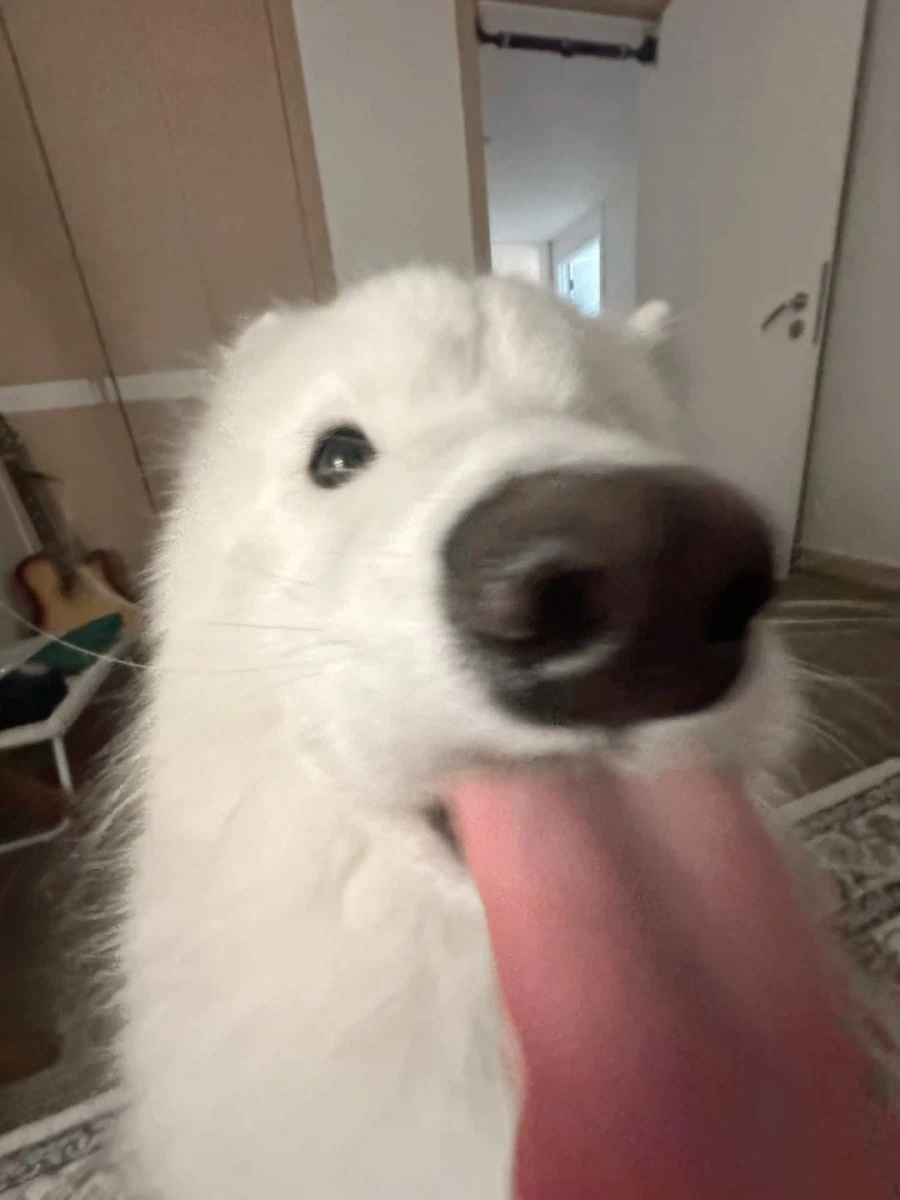 카메라 할짝~_19.webp