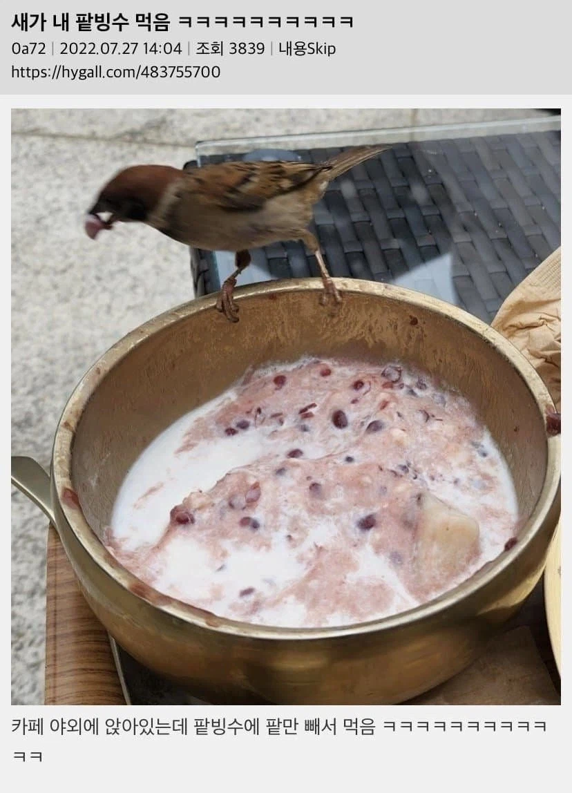 취향이 확실한 새_1.webp