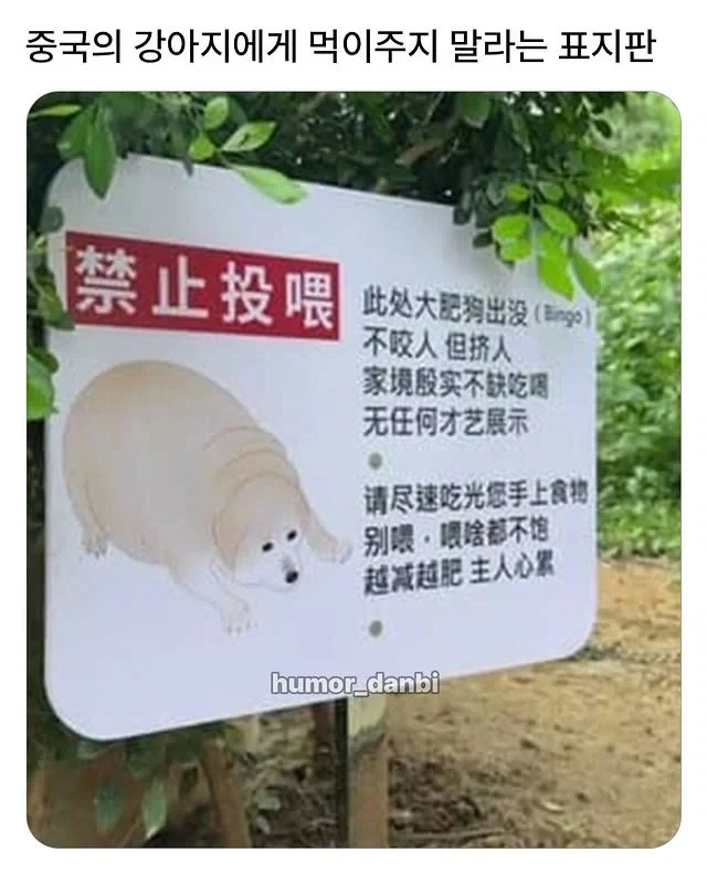 강아지에게 먹이를 주지마세요.jpg_1.webp