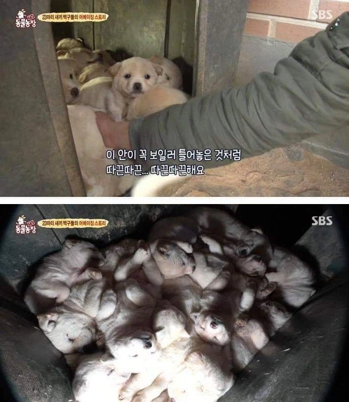 얼굴 박아넣고 코로 들이마시면 기분 좋아지는 구멍_1.webp