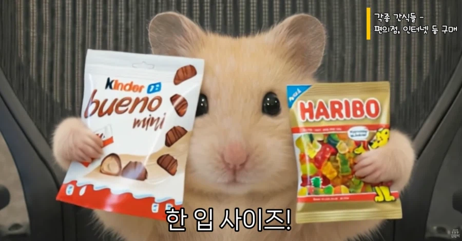 직장 생활 할 때 서랍 안에 챙겨둬야 하는 물건_2.webp