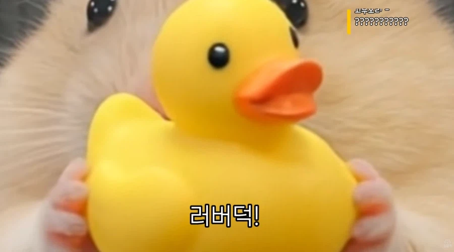 직장 생활 할 때 서랍 안에 챙겨둬야 하는 물건_6.webp