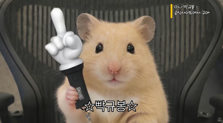 직장 생활 할 때 서랍 안에 챙겨둬야 하는 물건_8.webp