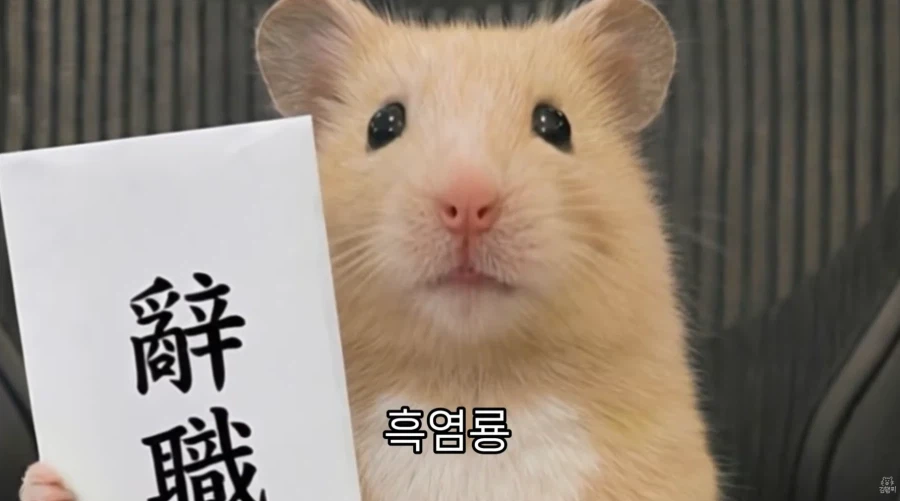 직장 생활 할 때 서랍 안에 챙겨둬야 하는 물건_11.webp