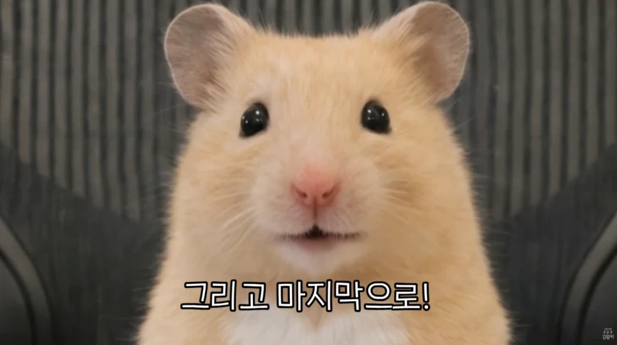 직장 생활 할 때 서랍 안에 챙겨둬야 하는 물건_13.webp