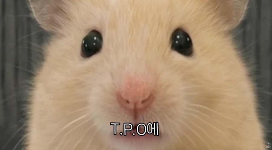 직장 생활 할 때 서랍 안에 챙겨둬야 하는 물건_15.webp