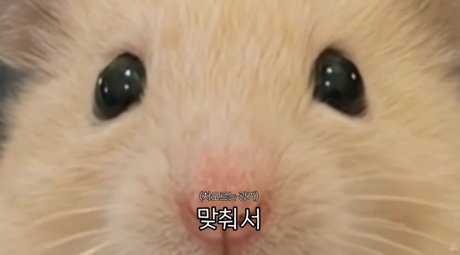 직장 생활 할 때 서랍 안에 챙겨둬야 하는 물건_16.webp