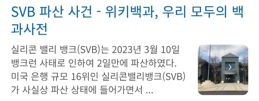 고양이 지능으로 주식하는 여자_2.webp