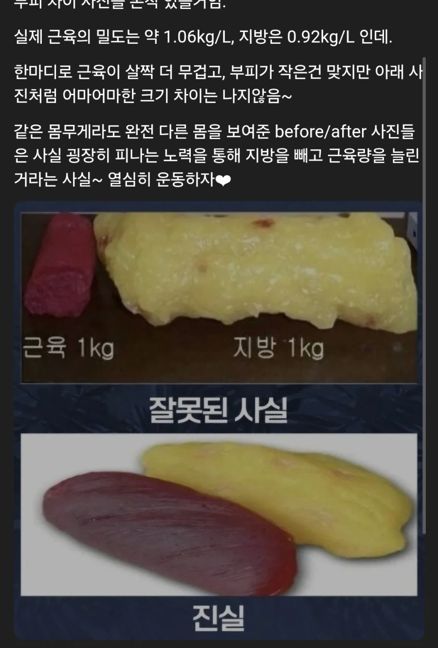 근육과 지방의차이_1.webp