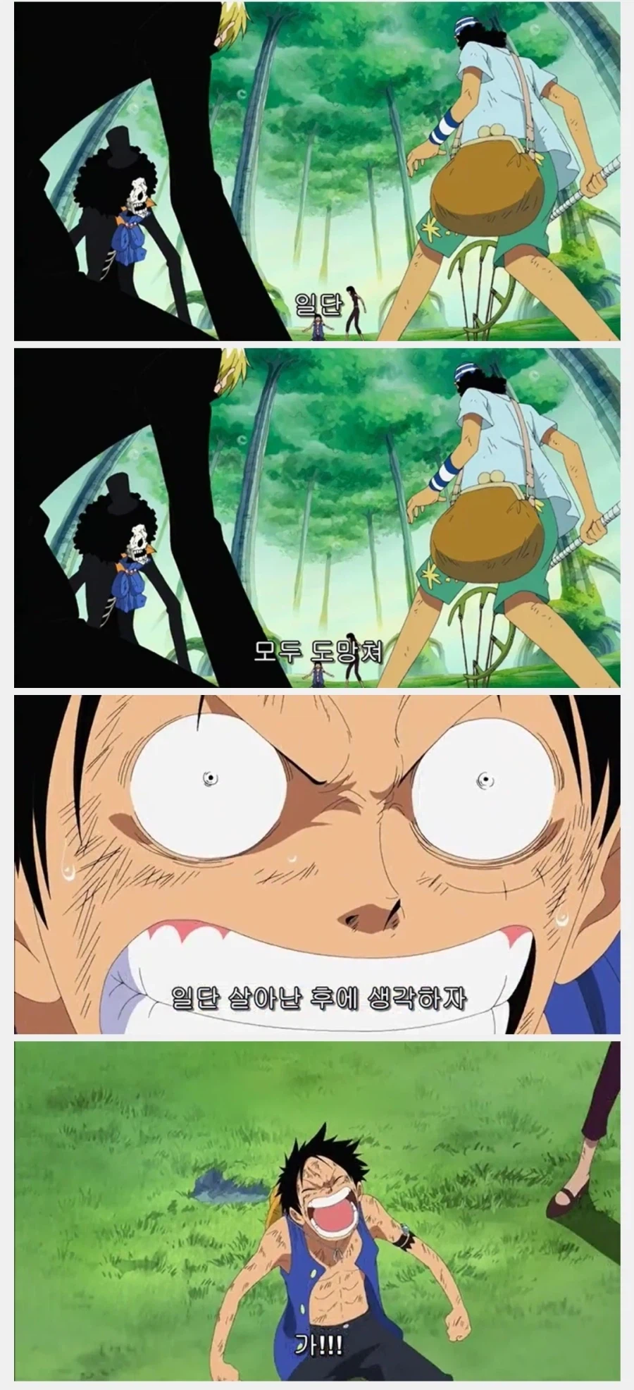 원피스 루피는 사황이 되고 에이스는 아닌 이유_1.webp