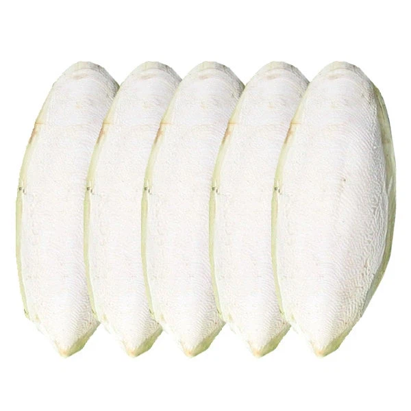 의외로 오징어 안에 있는것.jpg_1.webp