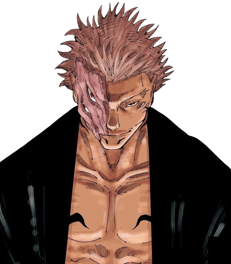 주술회전) 스쿠나 좌우대칭_3.webp