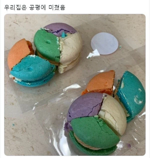 공평에 미친 가족ㅋㅋㅋ_2.webp