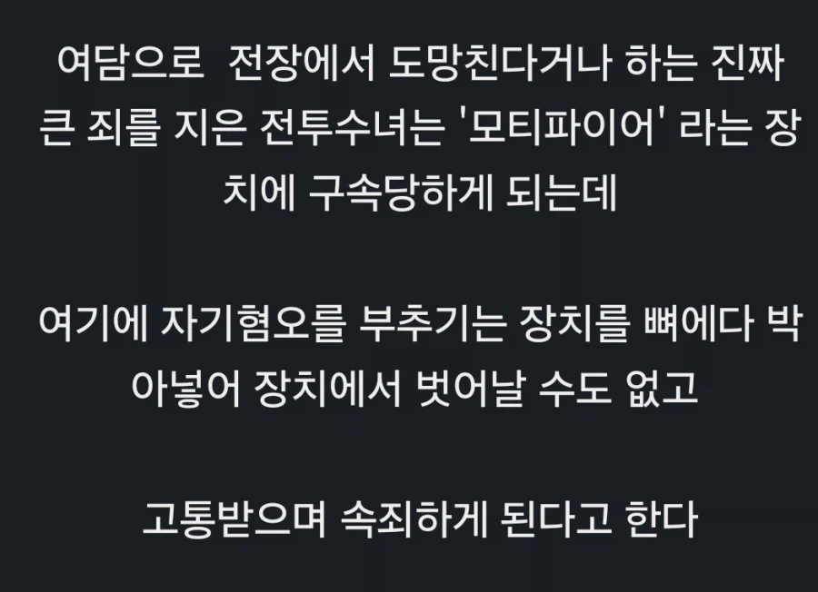 헐벗고 싸우는 워해머 수녀들의 형벌부대.JPG_12.webp