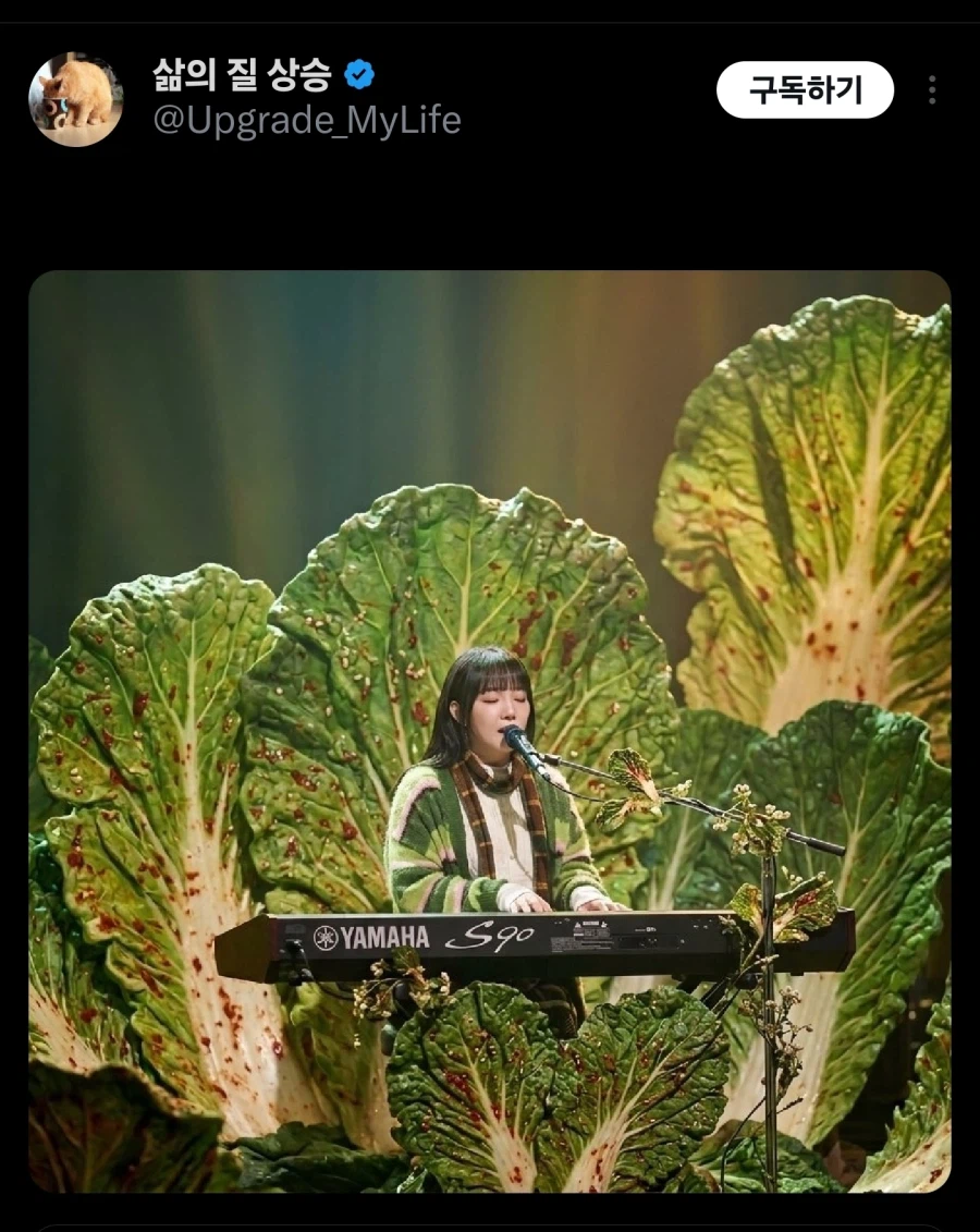 윤하 봄동비빔밥 진화_2.webp