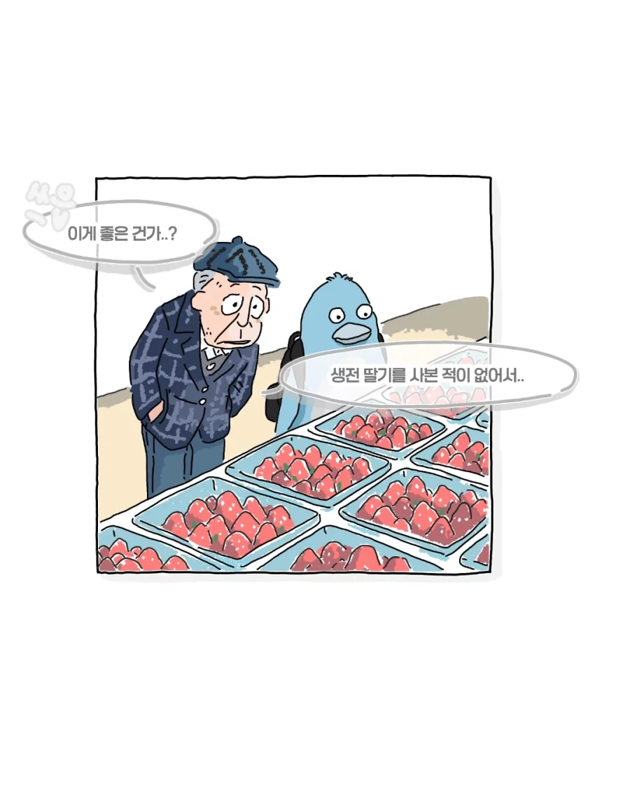 딸기 볼줄 모르던 할아버지_3.webp