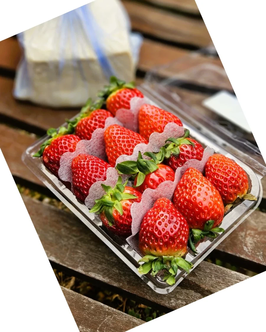 딸기 볼줄 모르던 할아버지_9.webp